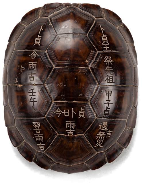 龟壳
